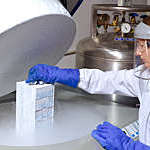 Scientist lifting human cells from liquid nitrogen storage
